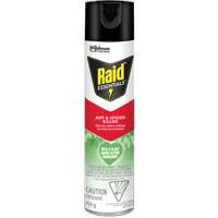 Raid<sup>®</sup> Essentials™ Ant & Spider Killer, 350 g, Aerosol Can JP467 | CTEC Supply