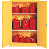 Insulated Flammable Liquid Safety Cabinets, 30 gal., 2 Door, 44" W x 45" H x 19" D SA087 | CTEC Supply