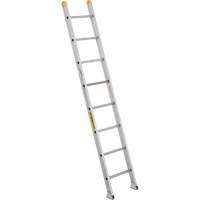 Industrial Heavy-Duty Extension/Straight Ladders, 10', Aluminum, 300 lbs., CSA Grade 1A VC274 | CTEC Supply