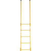 Walk-Through Style Dock Ladder VD450 | CTEC Supply