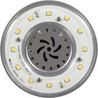 Ultra LED™ High Lumen Lamp, HID, 36 W, 4800 Lumens, Mogul Base XI556 | CTEC Supply