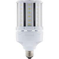 Ampoule HID de remplacement sélectionnable ULTRA LED<sup>MC</sup>, E26, 18 W, 2700 lumens XJ275 | CTEC Supply
