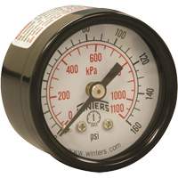 Manomètre économique,  1-1/2", 0 - 160 psi, Fixation arrière, Analogique YB873 | CTEC Supply